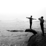 horizon link market synergy