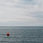 xpert horizon digital expansion