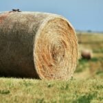 zenith node expansion loop